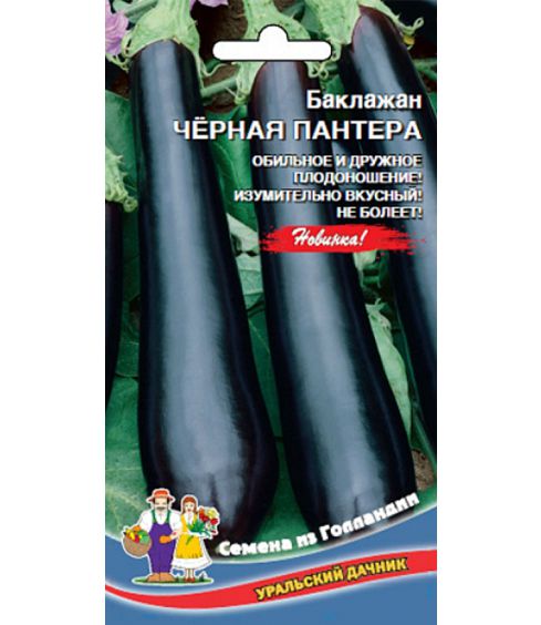 картинка Баклажан Черная Пантера 20шт ц/п (УД) магазин Одежда+ являющийся официальным дистрибьютором в России 