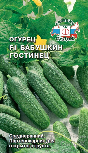картинка Огурец Бабушкин гостинец F1 0,3г ц/п (Седек) партенокар. магазин Одежда+ являющийся официальным дистрибьютором в России 