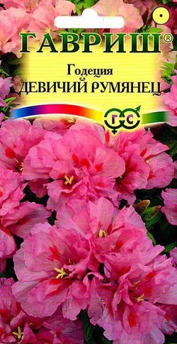 картинка Годеция Девичий румянец 0,05г ц/п (Гавриш) магазин Одежда+ являющийся официальным дистрибьютором в России 