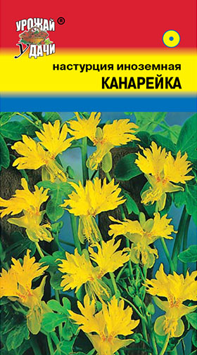 картинка Настурция Канарейка 0,6г ц/п (УУ) магазин Одежда+ являющийся официальным дистрибьютором в России 