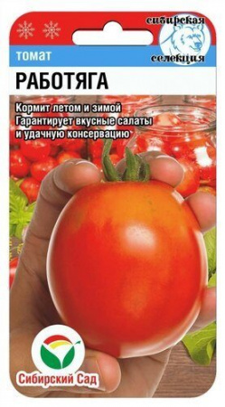 картинка Томат Работяга 20шт (СибСад) магазин Одежда+ являющийся официальным дистрибьютором в России 
