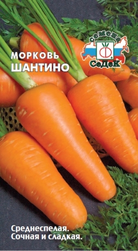 Морковь Шантино 0,3г ц/п (Седек)