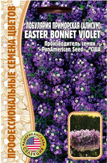 картинка Алиссум Easter Bonnet Violet 20шт (Григорьев) магазин Одежда+ являющийся официальным дистрибьютором в России 