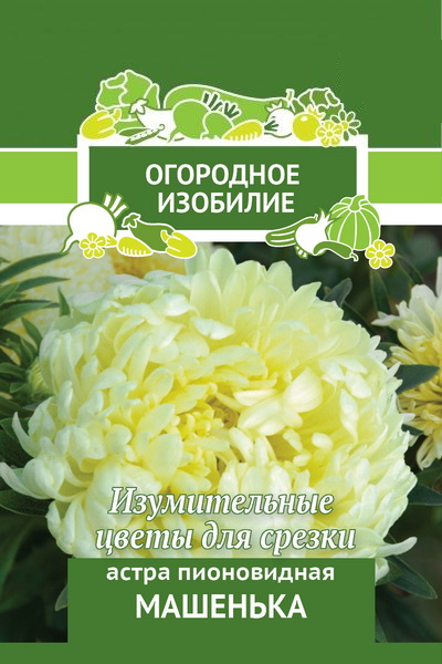 картинка Астра Машенька, пионовидная 0,3г лид/п (Поиск) Огород.изобилие магазин Одежда+ являющийся официальным дистрибьютором в России 