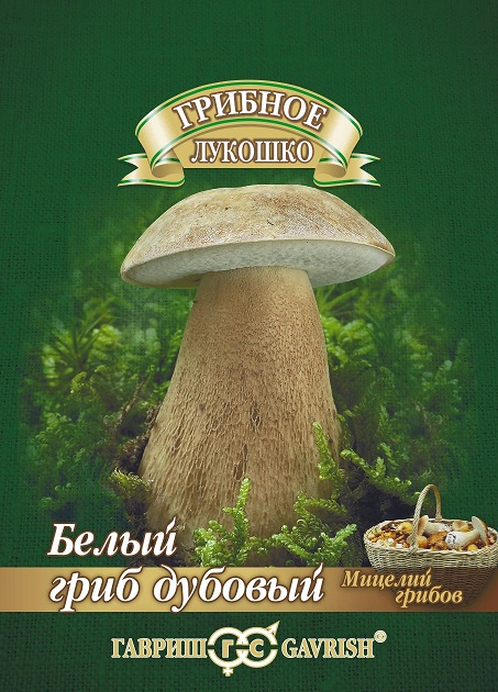 картинка Мицелий грибов Белый гриб Дубовый 15мл ц/п (Гавриш) магазин Одежда+ являющийся официальным дистрибьютором в России 