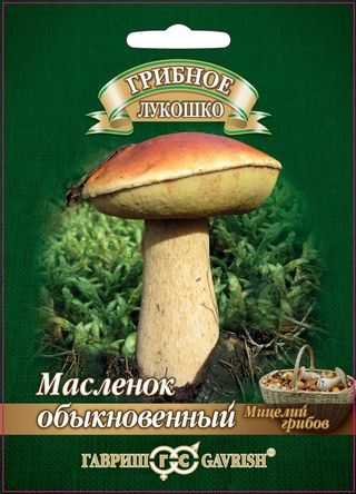 картинка Мицелий грибов Масленок на зерновом субстрате 15мл ц/п (Гавриш) магазин Одежда+ являющийся официальным дистрибьютором в России 