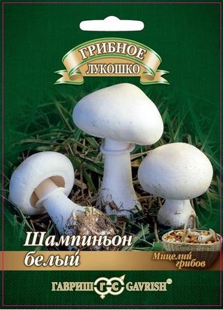 картинка Мицелий грибов Шампиньон Белый на зерн.субстрате 15мл ц/п (Гавриш) магазин Одежда+ являющийся официальным дистрибьютором в России 