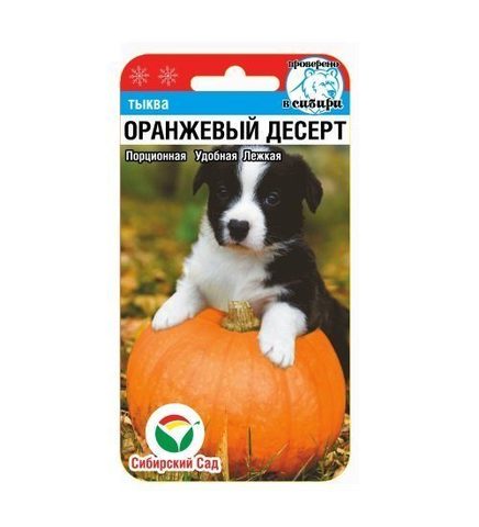картинка Тыква Оранжевый десерт 5шт (СибСад) магазин Одежда+ являющийся официальным дистрибьютором в России 