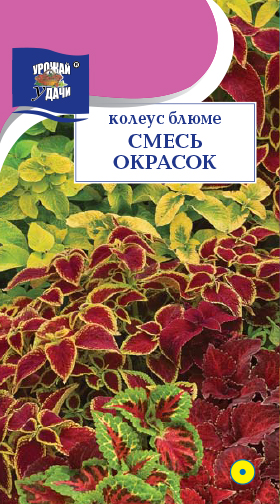 картинка Колеус Смесь окрасок Блюме 0,1г ц/п (УУ) магазин Одежда+ являющийся официальным дистрибьютором в России 