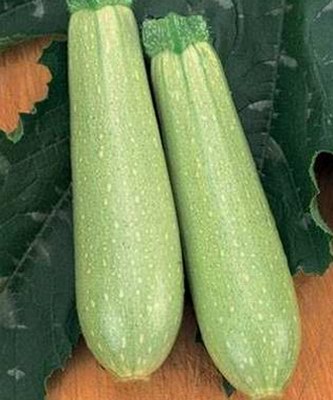 картинка Кабачок Искандер F1 500шт (RS) магазин Одежда+ являющийся официальным дистрибьютором в России 