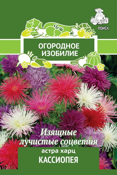 картинка Астра Кассиопея Харц 0,3г лид/п (Поиск) Огород.изобилие магазин Одежда+ являющийся официальным дистрибьютором в России 