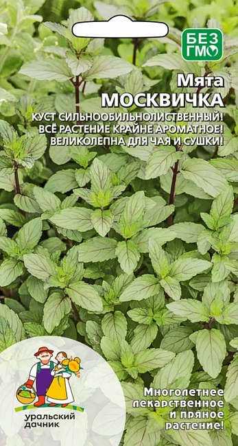 картинка Мята Москвичка 0,03г ц/п (УД)  магазин Одежда+ являющийся официальным дистрибьютором в России 