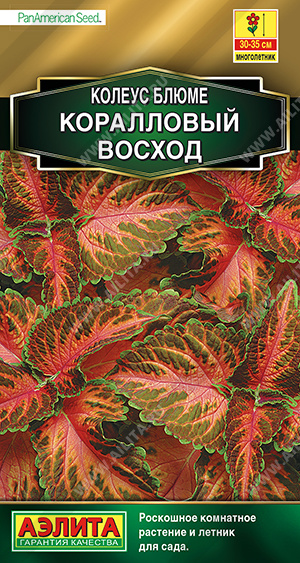 картинка Колеус Коралловый восход блюме 10шт ц/п (Аэлита) магазин Одежда+ являющийся официальным дистрибьютором в России 