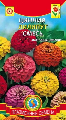 картинка Цинния Лилипут, смесь 0,4г б/п (ПлазмаС) магазин Одежда+ являющийся официальным дистрибьютором в России 