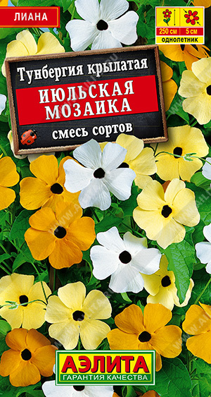 картинка Тунбергия Июльская мозаика, смесь 0,3г ц/п (Аэлита) 2м  магазин Одежда+ являющийся официальным дистрибьютором в России 