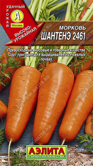Морковь Шантанэ 2461 4г ц/пХ2 (Аэлита)
