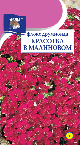 картинка Флокс Красотка в малиновом 0,1г ц/п (УУ) друммонда магазин Одежда+ являющийся официальным дистрибьютором в России 