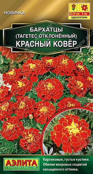 картинка Бархатцы Красный ковер 0,1г ц/п (Аэлита) отклоненные магазин Одежда+ являющийся официальным дистрибьютором в России 