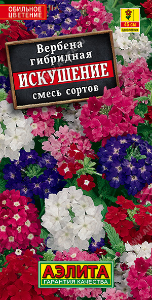 картинка Вербена Искушение, смесь 40шт ц/п *(Аэлита)   магазин Одежда+ являющийся официальным дистрибьютором в России 