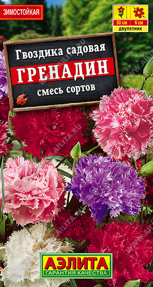 картинка Гвоздика садовая Гренадин, смесь окрасок 0,05г ц/п (Аэлита) магазин Одежда+ являющийся официальным дистрибьютором в России 