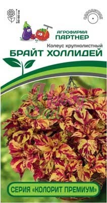картинка Колеус Брайт Холлидей 5шт (Партнер) Колорит премиум магазин Одежда+ являющийся официальным дистрибьютором в России 