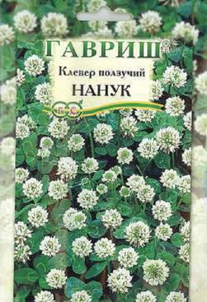 картинка Клевер белый ползучий Нанук 20г ц/п (Гавриш) магазин Одежда+ являющийся официальным дистрибьютором в России 