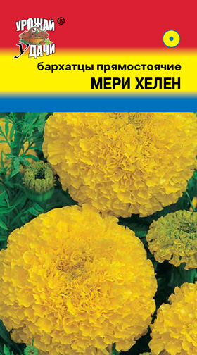 картинка Бархатцы Мери Хелен 0,3г ц/п (УУ) магазин Одежда+ являющийся официальным дистрибьютором в России 