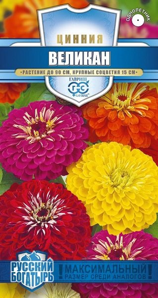 картинка Цинния Великан, смесь 0,3г ц/п (Гавриш) Рус.богатырь магазин Одежда+ являющийся официальным дистрибьютором в России 