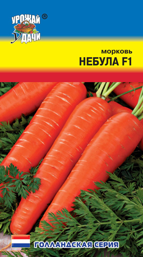 картинка Морковь Небула F1 0,2г ц/п (УУ) Новинка магазин Одежда+ являющийся официальным дистрибьютором в России 