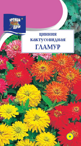 картинка Цинния Гламур, смесь 0,3г ц/п (УУ) кактусовидная магазин Одежда+ являющийся официальным дистрибьютором в России 