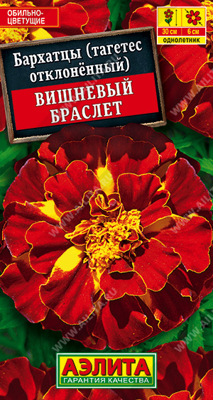картинка Бархатцы Вишневый браслет 0,3г ц/п (Аэлита) 25см/6см магазин Одежда+ являющийся официальным дистрибьютором в России 