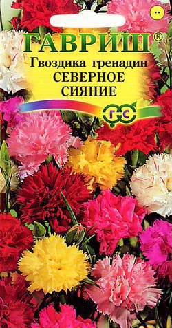 картинка Гвоздика гренадин Северное сияние, смесь ц/п (Гавриш) магазин Одежда+ являющийся официальным дистрибьютором в России 