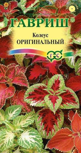 картинка Колеус Оригинальный, смесь 0,03г ц/п (Гавриш) магазин Одежда+ являющийся официальным дистрибьютором в России 