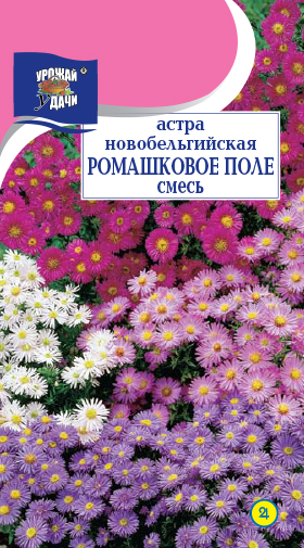 картинка Астра многолетняя Ромашковое поле, новобельгийская 0,01г ц/п (УУ)  магазин Одежда+ являющийся официальным дистрибьютором в России 