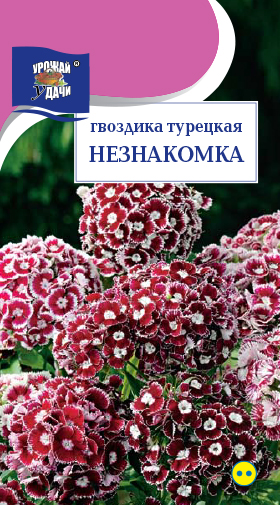 картинка Гвоздика турецкая Незнакомка 0,1г ц/п (УУ) магазин Одежда+ являющийся официальным дистрибьютором в России 