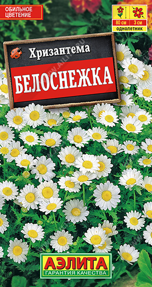 картинка Хризантема Белоснежка 0,1г ц/п (Аэлита) магазин Одежда+ являющийся официальным дистрибьютором в России 