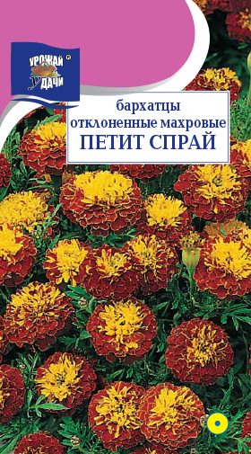 картинка Бархатцы Петит Спрай 0,3г ц/п (УУ) магазин Одежда+ являющийся официальным дистрибьютором в России 