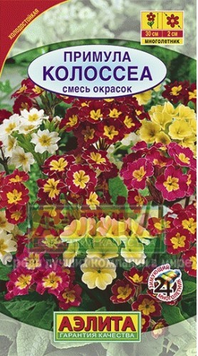 картинка Примула Колоссеа, смесь 0,05г ц/п (Аэлита) магазин Одежда+ являющийся официальным дистрибьютором в России 