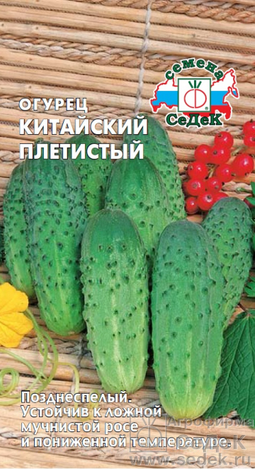 картинка Огурец Китайский Плетистый 0,5г ц/п (Седек) магазин Одежда+ являющийся официальным дистрибьютором в России 