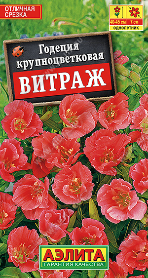 картинка Годеция Витраж крупноцветковая ц/п (Аэлита) магазин Одежда+ являющийся официальным дистрибьютором в России 