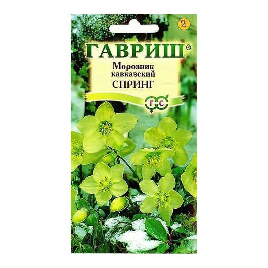 картинка Морозник Спринг лимонно-зеленый восточный (кавказский) 0,1г ц/п (Гавриш) Новинка магазин Одежда+ являющийся официальным дистрибьютором в России 