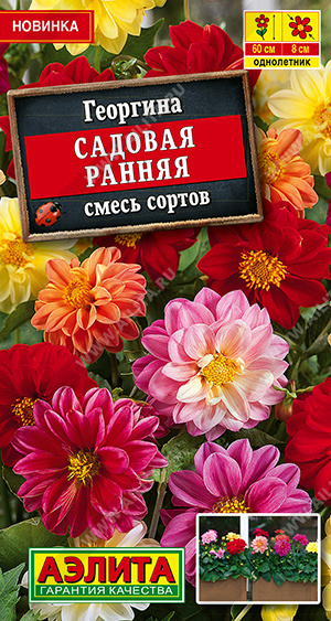 картинка Георгина Садовая ранняя, смесь сортов 0,3г ц/п (Аэлита) магазин Одежда+ являющийся официальным дистрибьютором в России 
