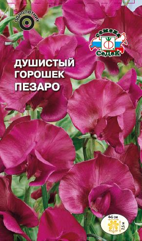 картинка Душистый горошек Пезаро 1г ц/п (Седек) т/красный магазин Одежда+ являющийся официальным дистрибьютором в России 