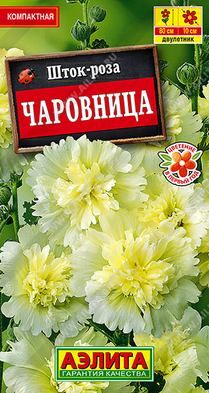 картинка Шток-роза Чаровница 0,2г ц/п (Аэлита) магазин Одежда+ являющийся официальным дистрибьютором в России 