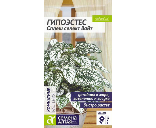 картинка Гипоэстес Сплеш селект Вайт 5шт (СемАлт)  магазин Одежда+ являющийся официальным дистрибьютором в России 