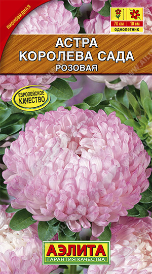 картинка Астра Королева сада розовая 0,2г ц/п (Аэлита) магазин Одежда+ являющийся официальным дистрибьютором в России 