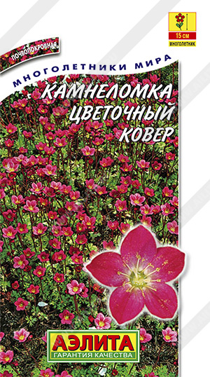 картинка Камнеломка Цветочный ковер 0,02г ц/п (Аэлита) магазин Одежда+ являющийся официальным дистрибьютором в России 