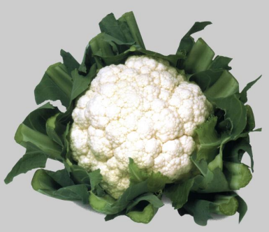 картинка Капуста цветная Уайтэксел F1 1000шт (Sakata) магазин Одежда+ являющийся официальным дистрибьютором в России 