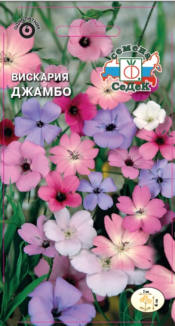 картинка Вискария Джамбо (окулата) 0,1г ц/п (Седек) магазин Одежда+ являющийся официальным дистрибьютором в России 