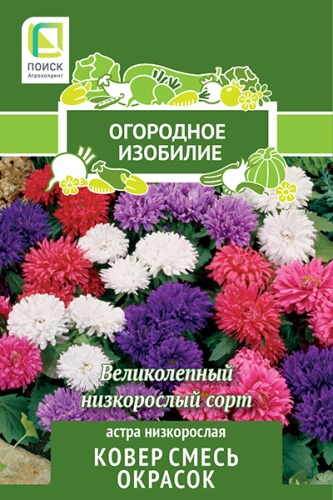 картинка Астра Ковер, низкорослая 0,3г лид/п (Поиск) Огород.изобилие магазин Одежда+ являющийся официальным дистрибьютором в России 